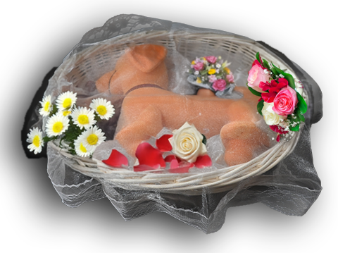 かご棺のイメージ写真